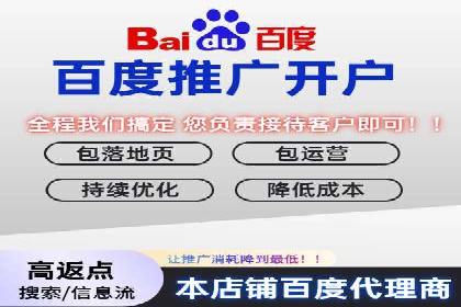 SEM代理助力企业：案例分享，优化策略全解析